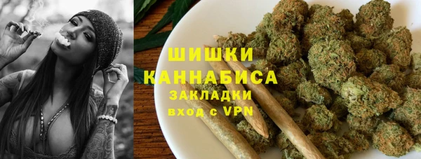 индика Балахна